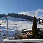 Und Alpen - Buerglhoeh Bischofshofen
