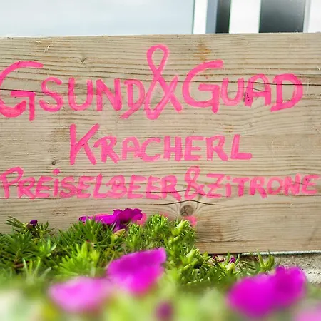 Und Alpen - Buerglhoeh Bischofshofen