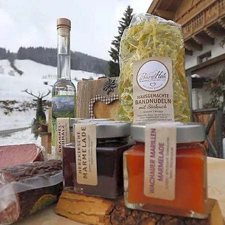 Und Alpen - Buerglhoeh Bischofshofen