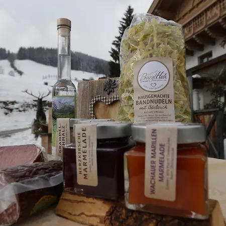 Und Alpen Mit Sauna - Buerglhoeh 3*