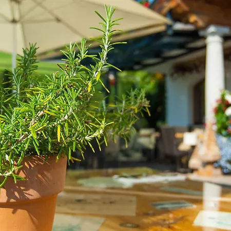 Und Alpen - Buerglhoeh Bischofshofen