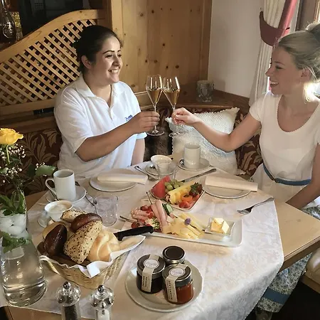 Hotel Und Alpen Mit Sauna - Buerglhoeh Bischofshofen