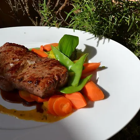Hotel Und Alpen Mit Sauna - Buerglhoeh Bischofshofen